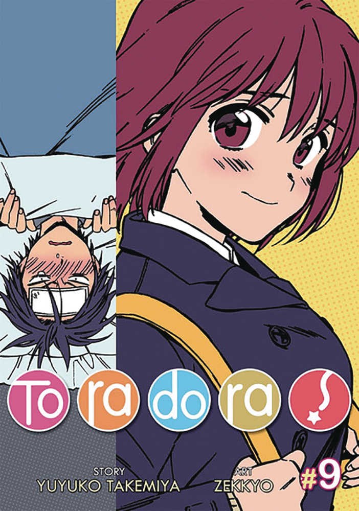 Toradora Graphic Novel Volume 10