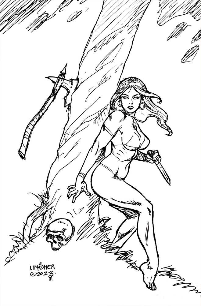 Fire And Ice #3 Cover H 20 Copy Variant Edition Linsner Line Art Virgin