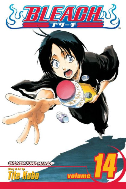 Bleach TPB Volume 14
