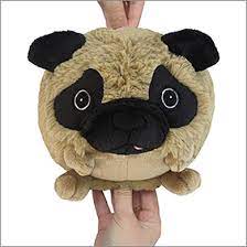 Mini Pug